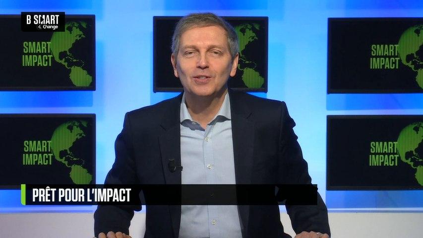 Le renouvelable, sera-t-il le nouveau leader du marché de l'énergie ?